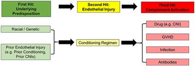 Transplant-Associated Thrombotic Microangiopathy in Pediatric Hematopoietic Cell Transplant Recipients: A Practical Approach to Diagnosis and Management